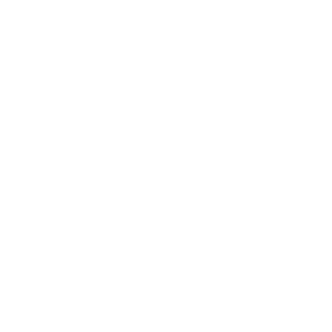 MOTOFEST